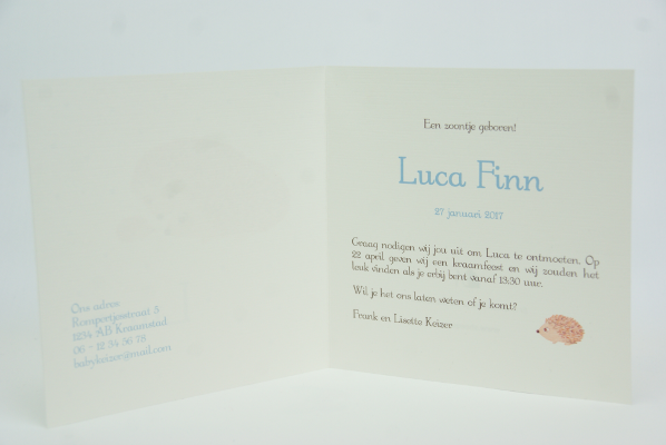 geboortekaartje luca lichtblauw